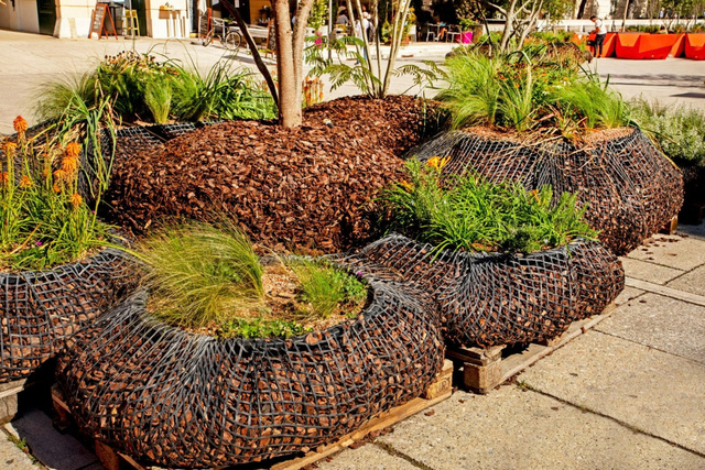 Natural Pine Bark Mulch Applications